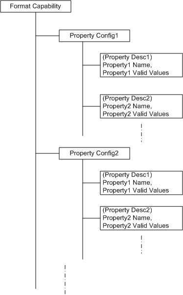 Format Capability Diagram 