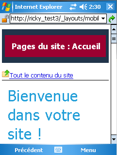 Section d’en-tête personnalisée dans la page d’accueil