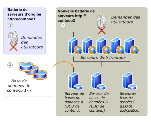 Processus de mise à niveau de la migration des bases de données