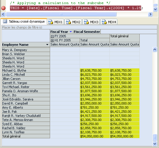 Volet de données affichant l'année fiscale 2005