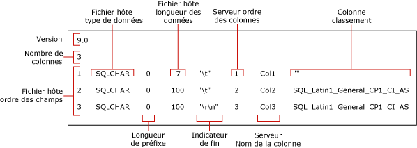 format de fichier non-XML par défaut pour myTestSkipCol