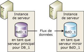 Partenaires dans une session de mise en miroir de bases de données