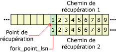 Réutilisation des numéros séquentiels dans le journal (LSN) dans différents branchements de récupération