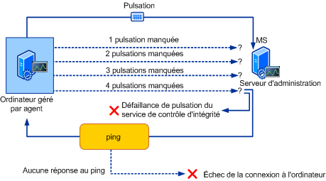 Le processus de pulsation illustré