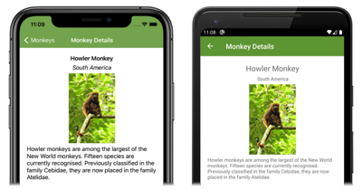 Capture d’écran des détails du singe, sur iOS et Android