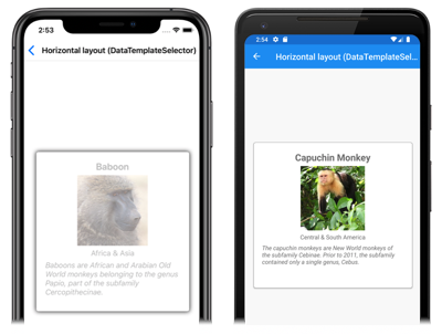 Capture d’écran de la sélection du modèle d’élément runtime CarouselView, sur iOS et Android