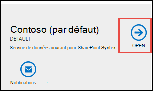Capture d’écran du bouton Ouvrir de l’instance Dataverse.