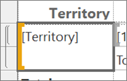 Capture d’écran du champ Territory dans le rapport du générateur de rapports.