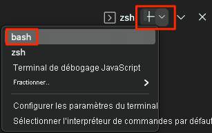 Capture d’écran de la sélection de l’interpréteur de commandes Bash dans Visual Studio Code.