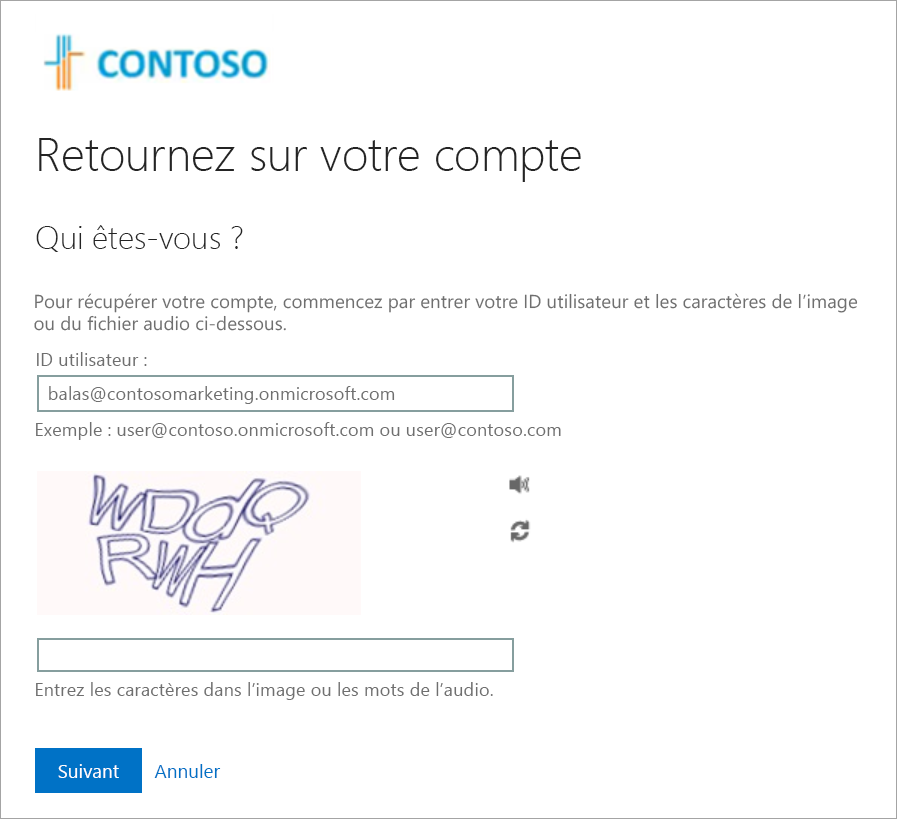 Capture d’écran montrant le logo de l’organisation dans la page de réinitialisation du mot de passe.