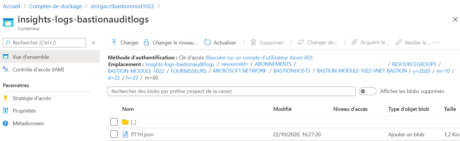 Capture d’écran des journaux d’insights pour Azure Bastion montrant le fichier JSON pour une période de temps spécifique.