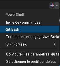 Capture d’écran de la fenêtre du terminal Visual Studio Code montrant le menu déroulant de sélection de l’interpréteur de commandes.