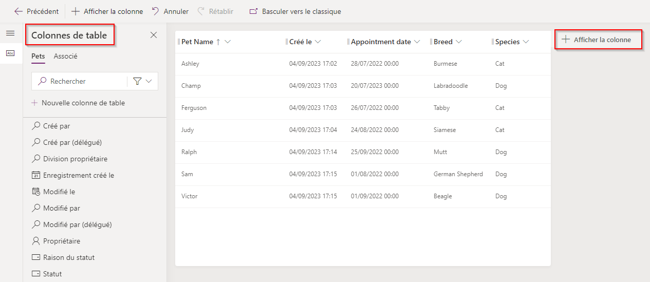 Capture d’écran de la vue de table illustrant les colonnes de table disponibles et mettant en évidence le bouton + Afficher la colonne.