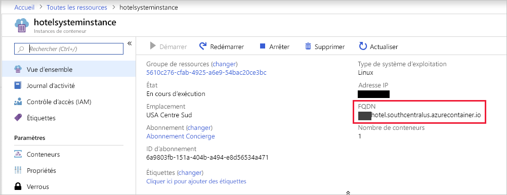 Capture d’écran montrant le volet Nouveau dans le Portail Azure où sont affichées les propriétés de conteneur, avec mise en surbrillance du nom de domaine complet.