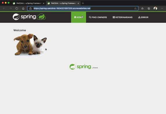 Screenshot of the deployed example pet clinic application.