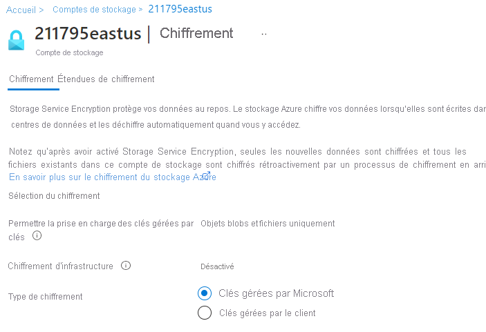 Screenshot that shows Azure Storage encryption, including keys managed by Microsoft and customer-managed keys.