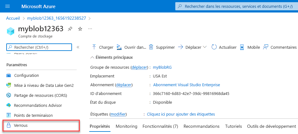 Capture d’écran montrant le contrôle des verrous de ressources, sous Paramètres, pour un compte de stockage.