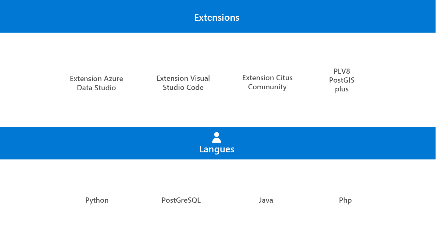 Capture d’écran montrant les extensions et les langages PostgreSQL.