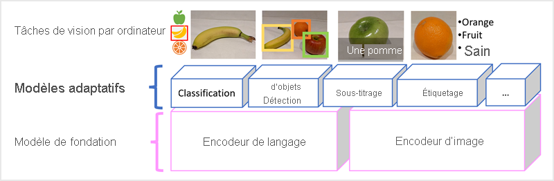 Diagramme d’un modèle Florence en tant que modèle de base avec de plusieurs modèles adaptatifs basés sur celui-ci.