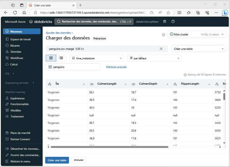 Capture d’écran de l’interface Charger des données pour Azure Databricks.