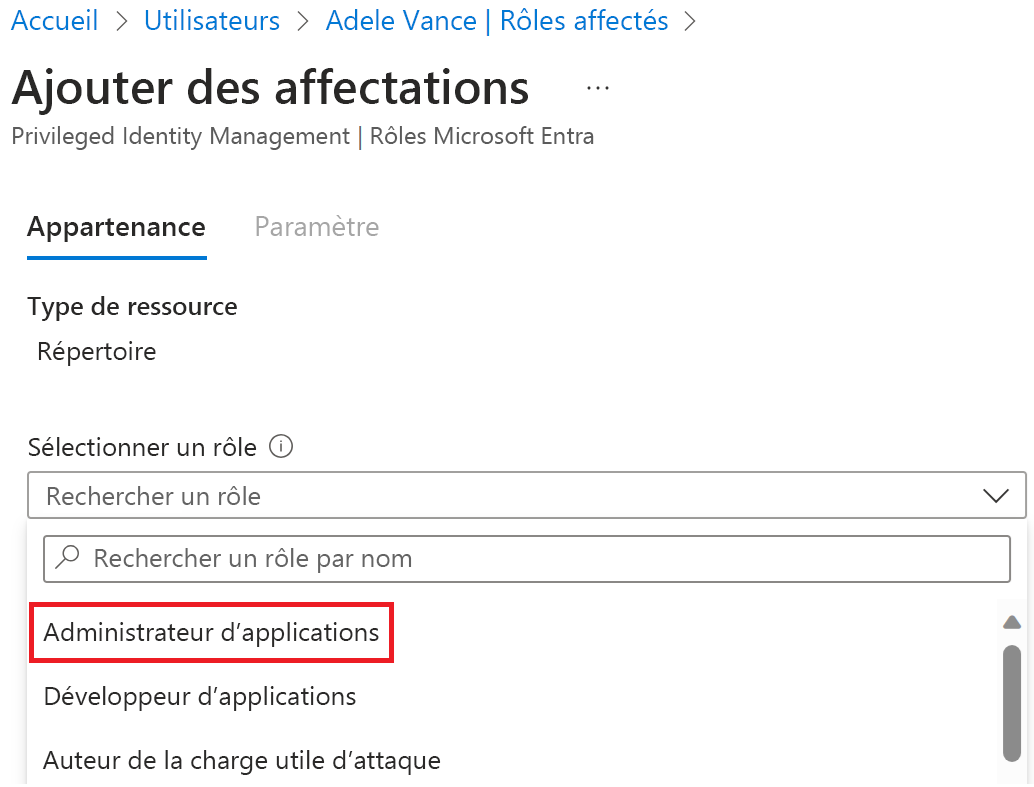 Capture d’écran de la page Rôles attribués avec le rôle Administrateur d’application sélectionné.