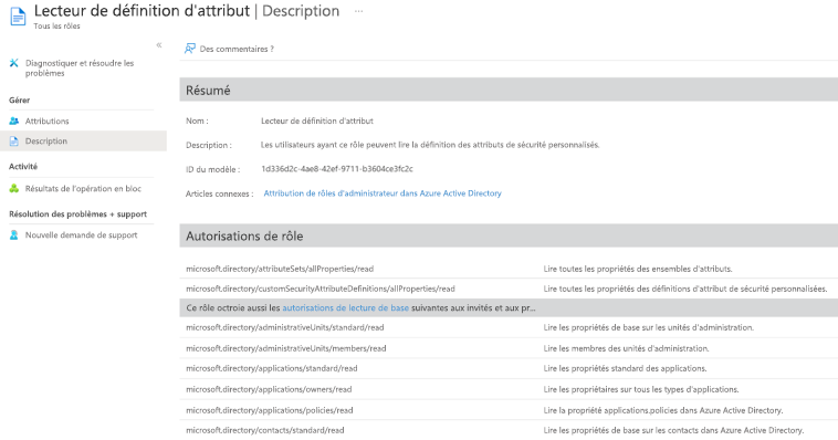 Capture d’écran du lecteur de définition d’attribut, montrant les autorisations accordées par un rôle intégré.