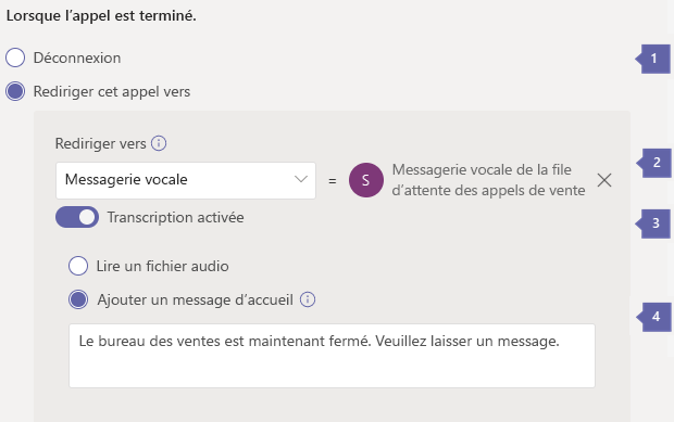 Capture d’écran montrant les options de routage des appels vers la messagerie vocale.