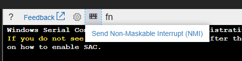 Capture d’écran du bouton Envoyer une interruption non masquable (NMI) dans la barre de commandes.