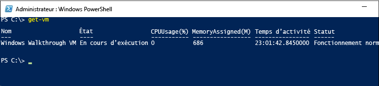 Capture d’écran de l’écran Windows Power Shell Administrateur montrant la sortie après avoir entré Get V M.