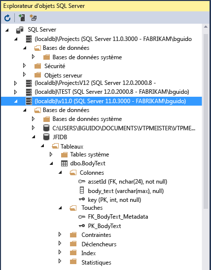 Capture d’écran montrant la fenêtre Explorateur d’objets SQL Server.