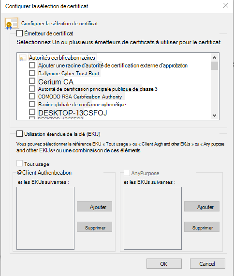 configurer la fenêtre de certificat.