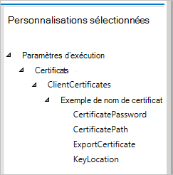 Dans le Concepteur de configuration Windows, le volet des personnalisations sélectionnées affiche vos paramètres.