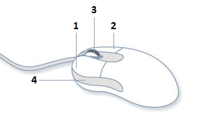 Une illustration montre les boutons gauche (1), droit (2), milieu (3) et xbutton1 (4).