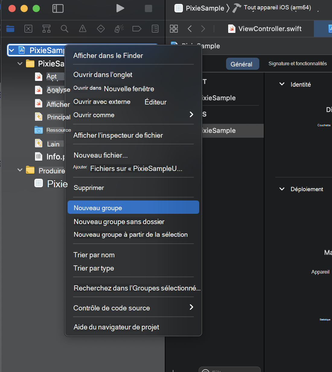 Screenshot that displays how to create a Framework group within the poject structure using the project navigator.