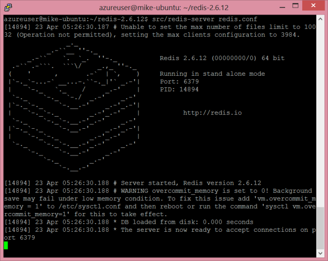 Screenshot che mostra la pagina principale del server Redis.