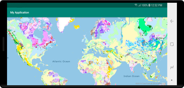 Mappa Android che visualizza il livello riquadro del servizio WMS