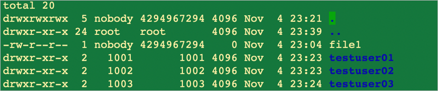 Configurazione risultante per NFSv4.1