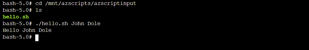 Screenshot dell'output di test dell'istanza del contenitore dello script di distribuzione visualizzato nella console.