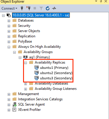 Screenshot shows the primary and secondary availability replicas.