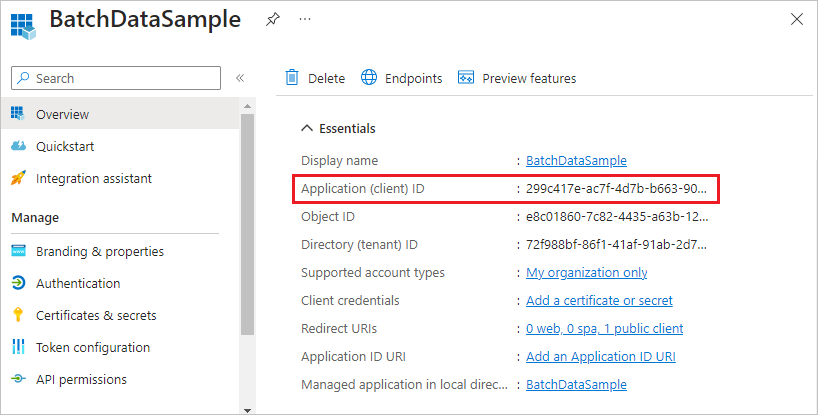 Screenshot dell'ID applicazione visualizzato nel portale di Azure.