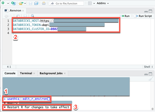 Impostare le variabili d’ambiente per Databricks Connect