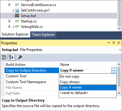 Screenshot che mostra la configurazione delle proprietà del file.