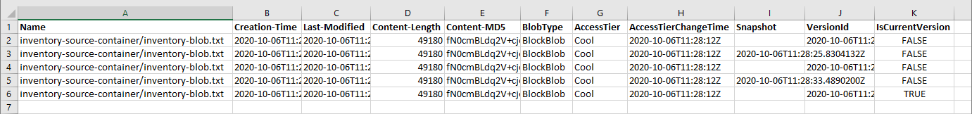 Screenshot di un file CSV di inventario aperto in Microsoft Excel