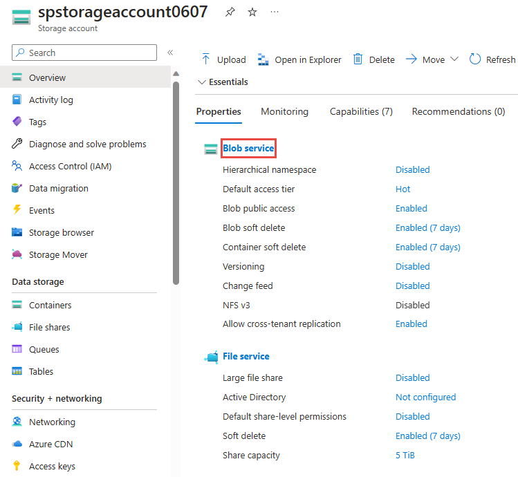 Screenshot che mostra la pagina panoramica dell'account di archiviazione con il servizio BLOB selezionato.