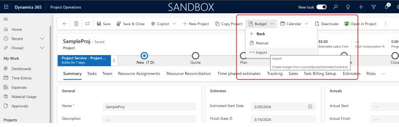 Screenshot che mostra l'azione Importa budget dalla barra multifunzione del progetto.