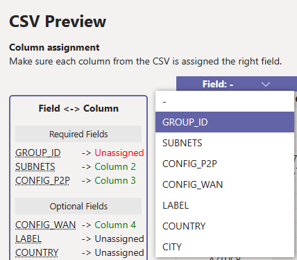 Screenshot della finestra di anteprima csv.