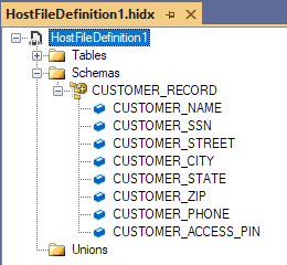 Screenshot che mostra la visualizzazione dell'artefatto dei metadati in HIS Designer per un file host.