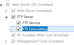 Screenshot che mostra il riquadro Server Web I e F T P Server espanso con F T P Extensibility selezionato.