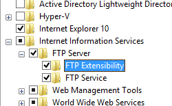 Screenshot del riquadro Internet Information Services e F T P Server espanso che mostra l'opzione F T P Extensibility selezionata.