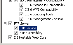 Screenshot che mostra il riquadro F T P Server nella pagina Seleziona servizi ruolo espansa e F T P Service selezionata.